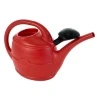 B&M Ward Watering Can With Rose 10L - Red