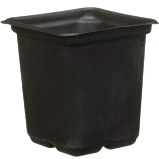 B&M Black Plant Pots 15pk 1 B&M Black Plant Pots 15pk