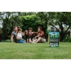 B&M Westland Safe Lawn Spreader Box 80m2 7 B&M Westland Safe Lawn Spreader Box 80m2 -Garden Supply Store 384000 safe lawn spreader box 80m 4