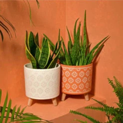 B&M Planter On Tripod Stand - Cream -Garden Supply Store 393647 superbloom planter on tripod stand terracotta1