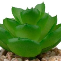 B&M Assorted Small Concrete Succulents -Garden Supply Store 394713 small concrete succulent 6